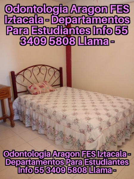 Alexa renta para estudiantes llamar al 55 3409 5808 repito llamar al 55 3409 5808; Cuartos para estudiantes; se rentan habitaciones para estudiantes; renta de recamaras para estudiantes; departamentos para estudiantes; top 10 mejores lugares renta estudiantes; los 10 mejores lugares renta estudiantes; top 15 mejores lugares renta estudiantes; los 15 mejores lugares renta estudiantes; alojamiento para estudiantes en renta; cuales son los mejores cuartos fes aragon; fes aragon cuales son los mejores renta para estudiantes; FES Aragon donde vivir; donde viven los estudiantes de FES Aragon; FES Aragon lugares donde vivir; fes aragon primer ingreso; fes aragon renta para estudiantes;