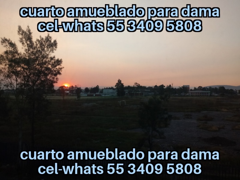 Cuarto para dama; cuarto dama; habitacion dama; departamento dama; recamara para dama; cuarto para mujer; habitacion para mujer; recamara para mujer; departamento para mujer; IPN; UPIICSA;  IPN Zacatenco; IPN Ticoman; ITGAM; Odontologia UNAM Aragon; Odontologia Iztacala Aragon; Iztacala FES Aragon; TESE; UNEVE; UPN 153; UPN 096; FES Aragon; Odontologia FES Aragon;  