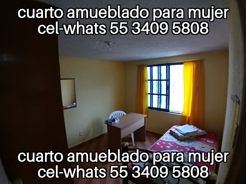 Renta Cuartos Estudiantes; fes aragon; odontologia aragon; fes iztacala odontologia; tese; uneve; upn 153; upn 096; renta estudiantes; renta estudiantes mujeres; ipn upiicsa; ipn zacatenco; ipn ticoman;