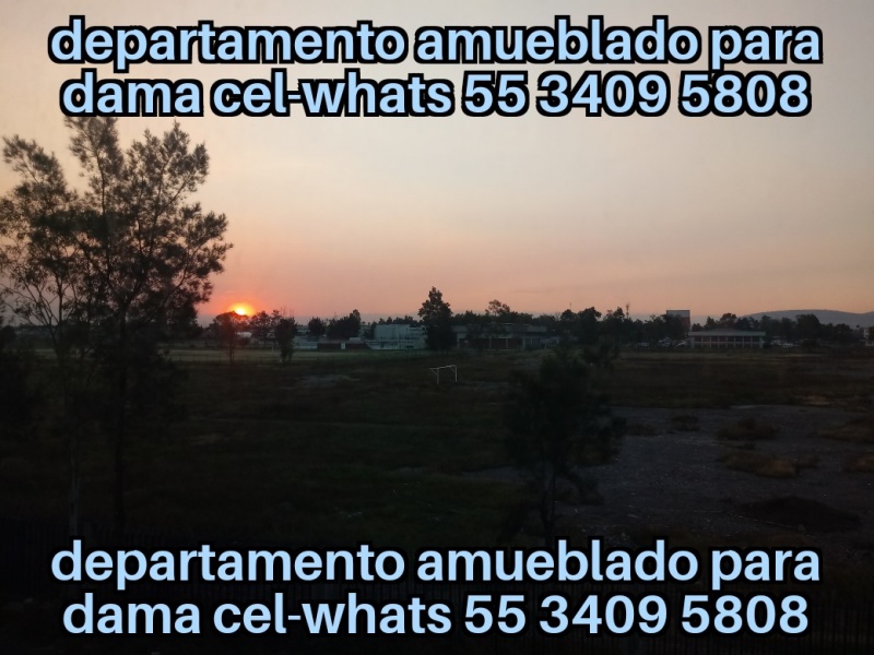 Renta Cuartos Estudiantes; fes aragon; odontologia aragon; fes iztacala odontologia; tese; uneve; upn 153; upn 096; renta estudiantes; renta estudiantes mujeres; ipn upiicsa; ipn zacatenco; ipn ticoman;