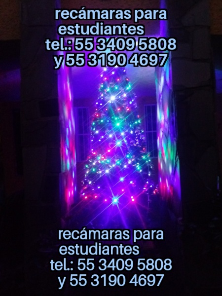 Cuarto para dama; cuarto dama; habitacion dama; departamento dama; recamara para dama; cuarto para mujer; habitacion para mujer; recamara para mujer; departamento para mujer; IPN; UPIICSA;  IPN Zacatenco; IPN Ticoman; ITGAM; Odontologia UNAM Aragon; Odontologia Iztacala Aragon; Iztacala FES Aragon; TESE; UNEVE; UPN 153; UPN 096; FES Aragon; Odontologia FES Aragon;  
