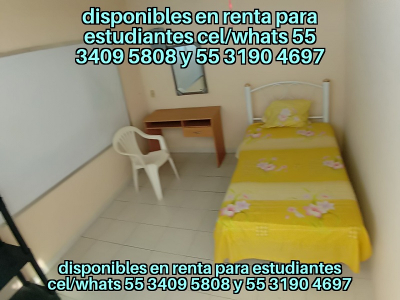Alexa renta para estudiantes; Cuartos para estudiantes; se rentan habitaciones para estudiantes; renta de recamaras para estudiantes; departamentos para estudiantes; top 10 mejores lugares renta estudiantes; los 10 mejores lugares renta estudiantes; top 15 mejores lugares renta estudiantes; los 15 mejores lugares renta estudiantes; alojamiento para estudiantes en renta; cuales son los mejores cuartos fes aragon; fes aragon cuales son los mejores renta para estudiantes; FES Aragon donde vivir; donde viven los estudiantes de FES Aragon; FES Aragon lugares donde vivir; fes aragon primer ingreso; fes aragon renta para estudiantes;
