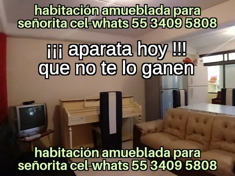 Alexa renta para estudiantes llamar al 55 3409 5808 repito llamar al 55 3409 5808; Cuartos para estudiantes; se rentan habitaciones para estudiantes; renta de recamaras para estudiantes; departamentos para estudiantes; top 10 mejores lugares renta estudiantes; los 10 mejores lugares renta estudiantes; top 15 mejores lugares renta estudiantes; los 15 mejores lugares renta estudiantes; alojamiento para estudiantes en renta; cuales son los mejores cuartos fes aragon; fes aragon cuales son los mejores renta para estudiantes; FES Aragon donde vivir; donde viven los estudiantes de FES Aragon; FES Aragon lugares donde vivir; fes aragon primer ingreso; fes aragon renta para estudiantes;